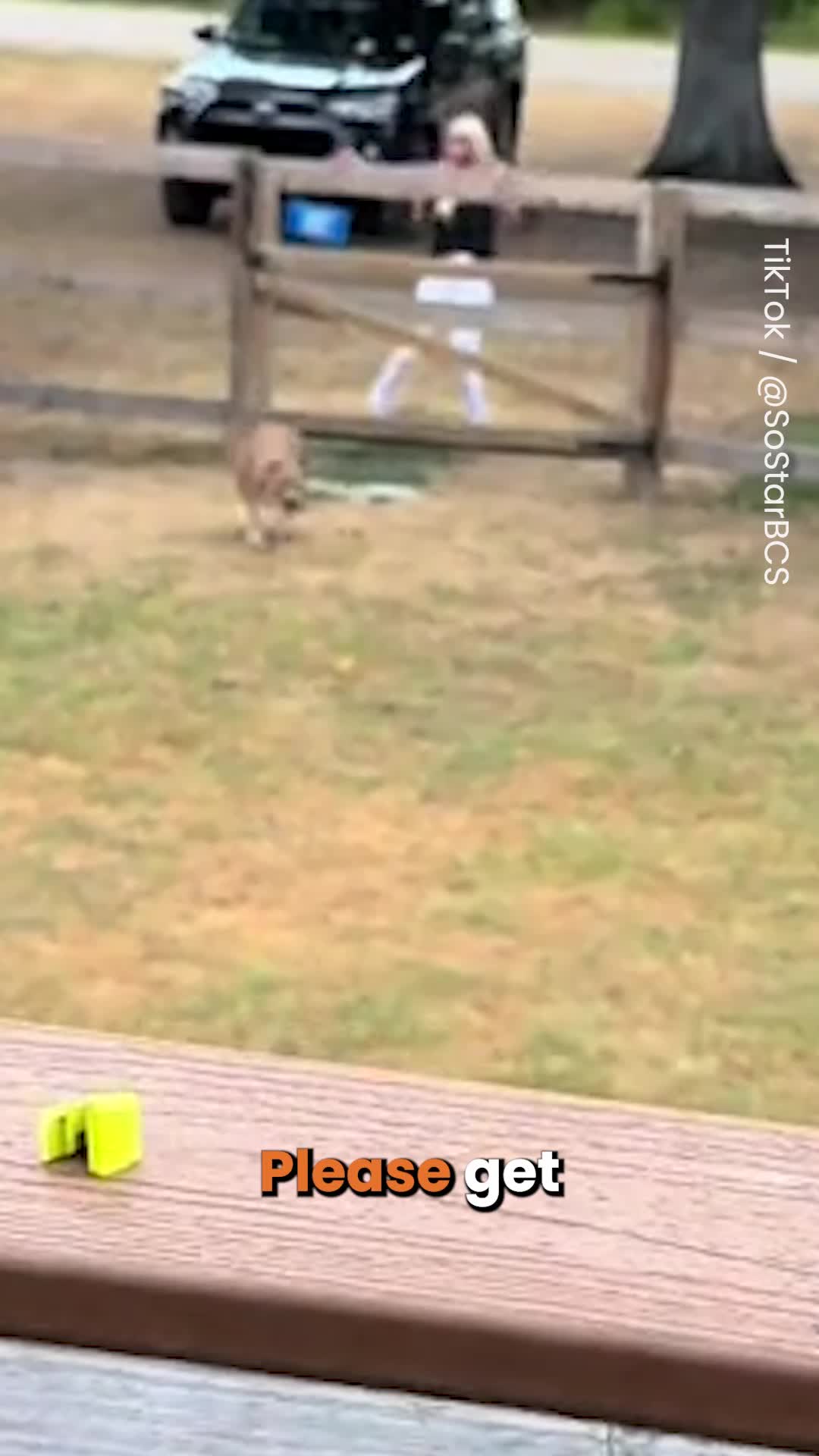 @Go Fetch