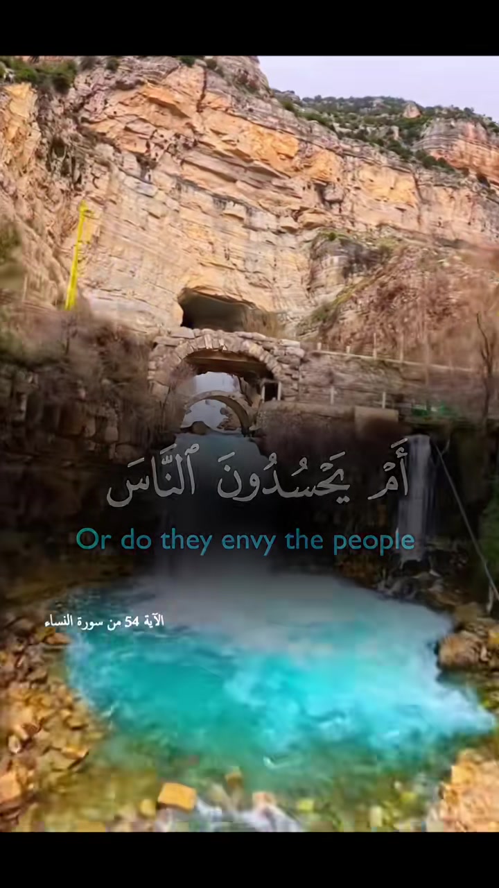 @beliefislm