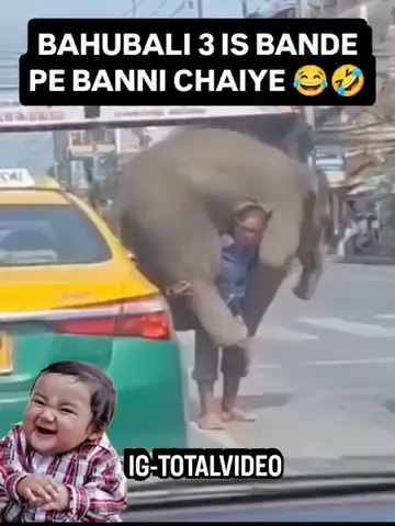 @rehmli_tchat
