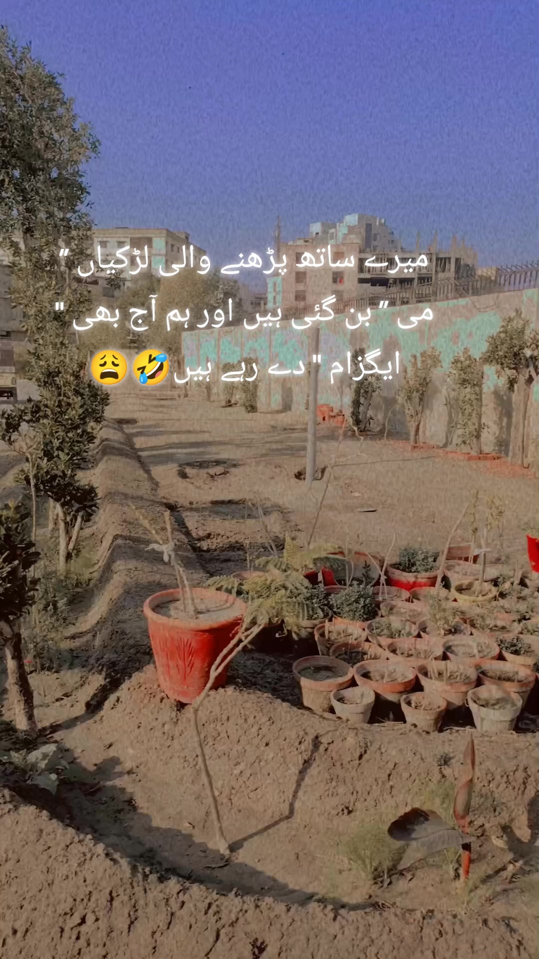 @𝒁𝑨𝑹𝑫𝑨𝑹𝑰𝑰 𝑯𝑼 𝒀𝑹😘