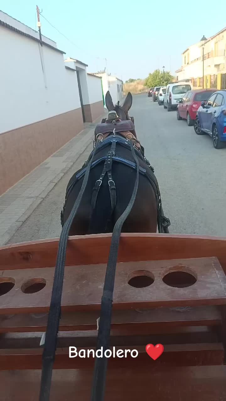 @Fran_mu&ntilde;ozruano