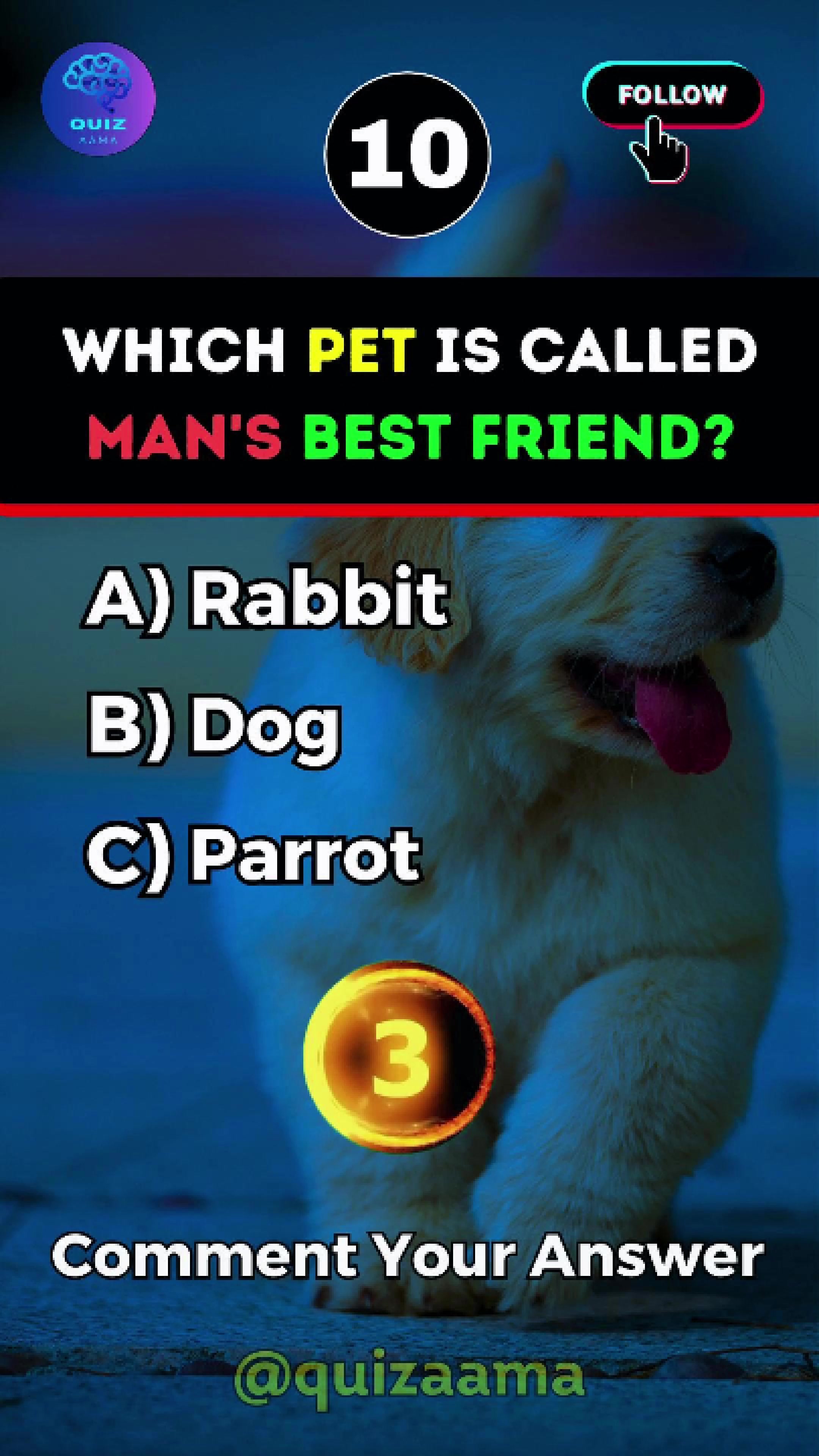 @Quiz Aama