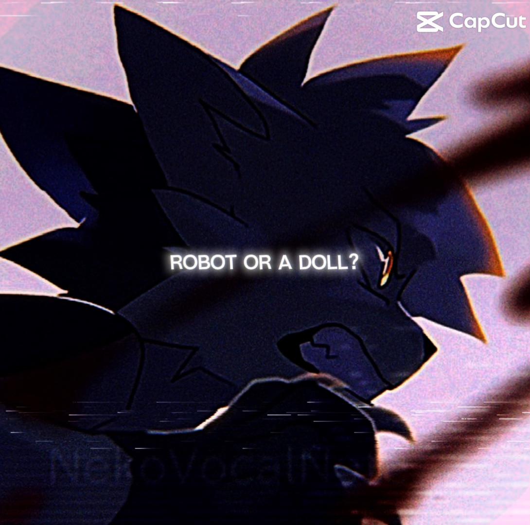 @🎀✨WarriorCatAddict✨🎀
