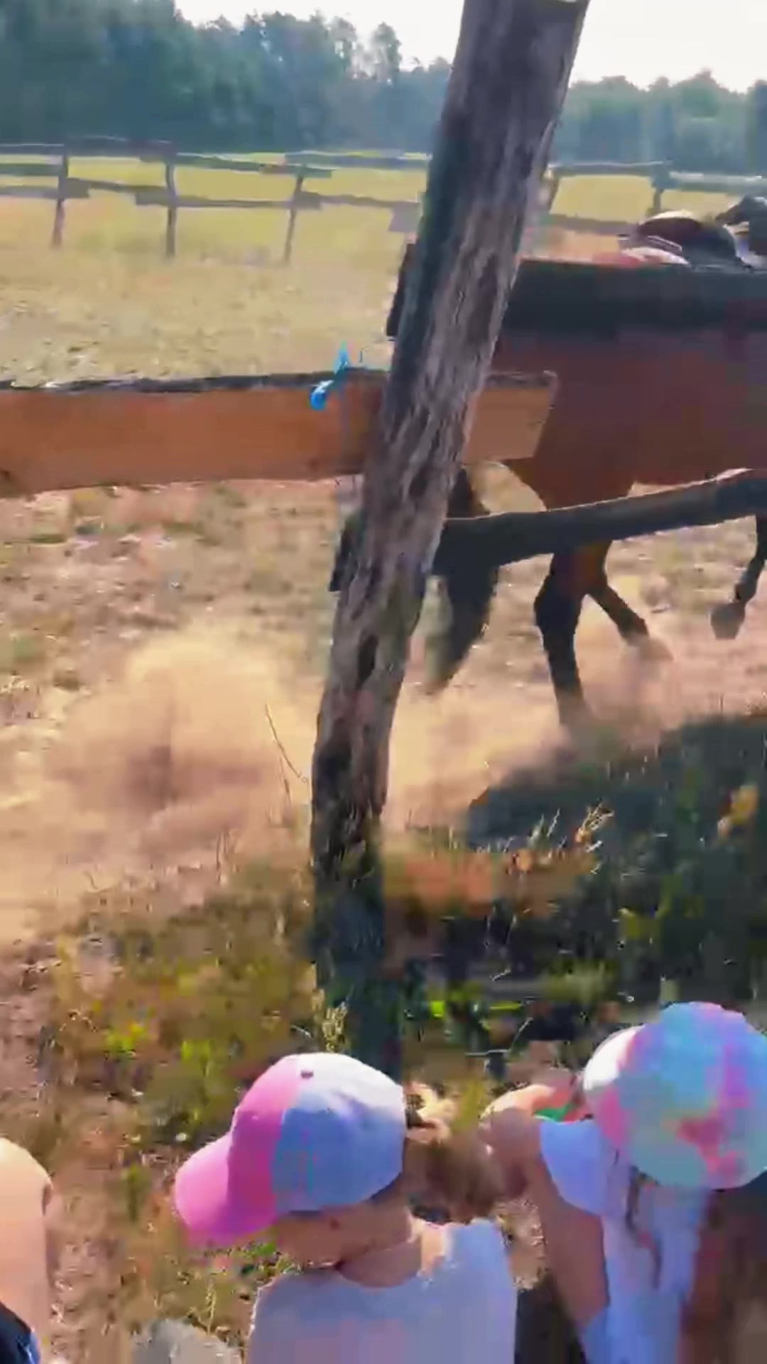 @Cestou Horsemanshipu