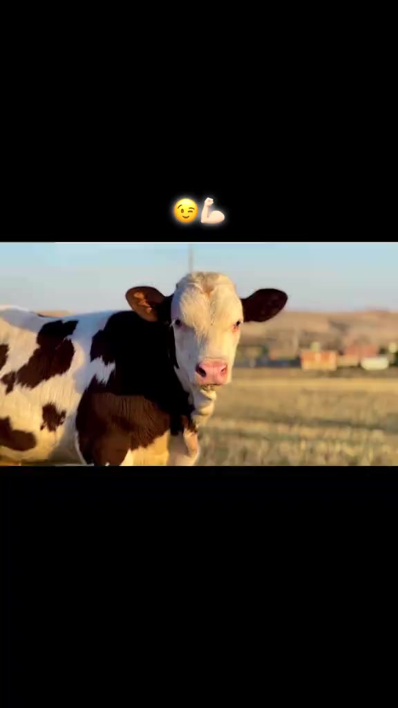 @𝓐⁴ 🩹🤍
