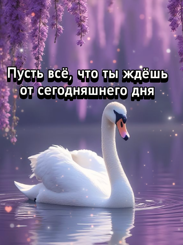 @👑 Svitlana Dann 👑