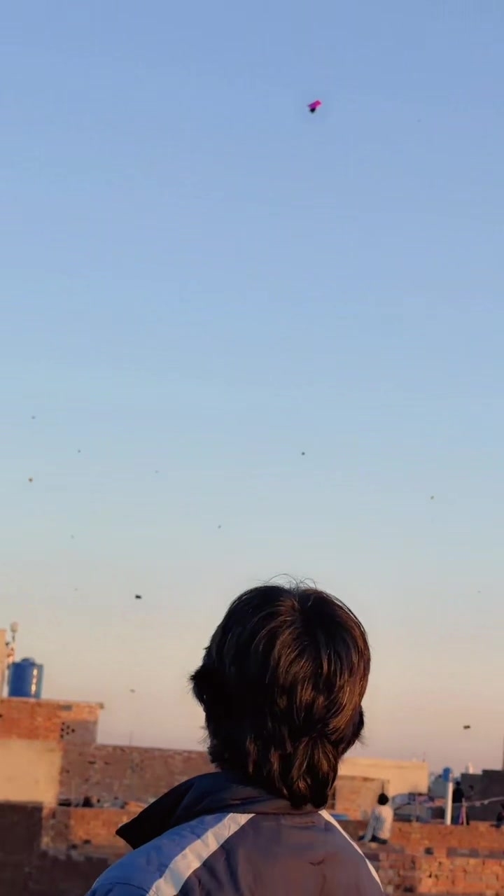 @bushii021
