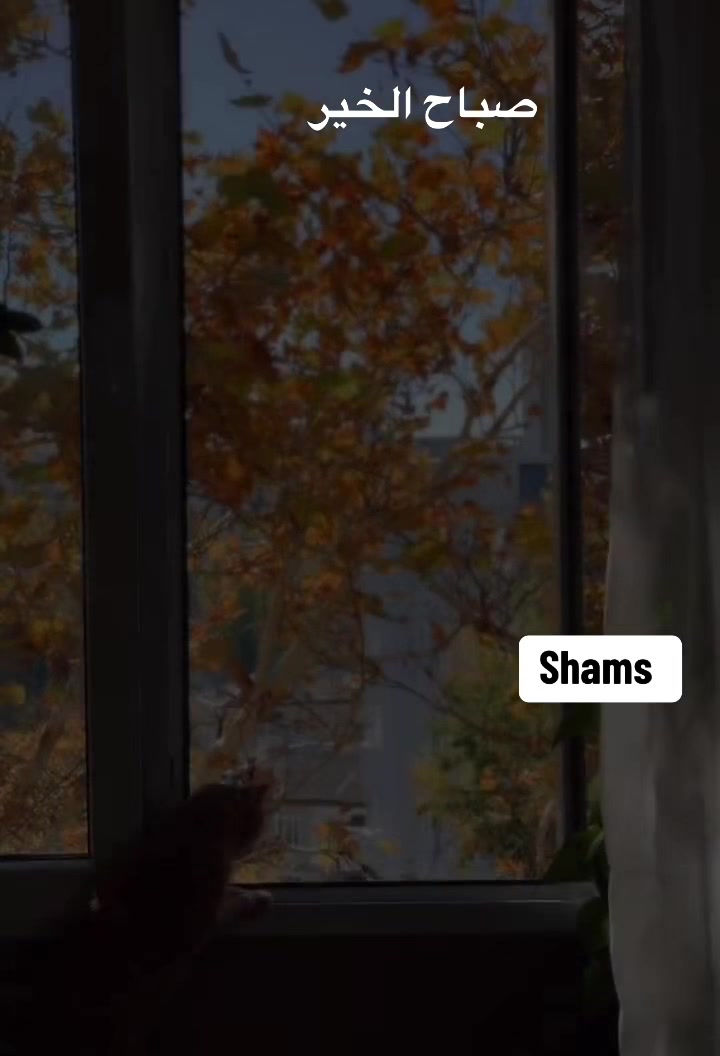 @Shams