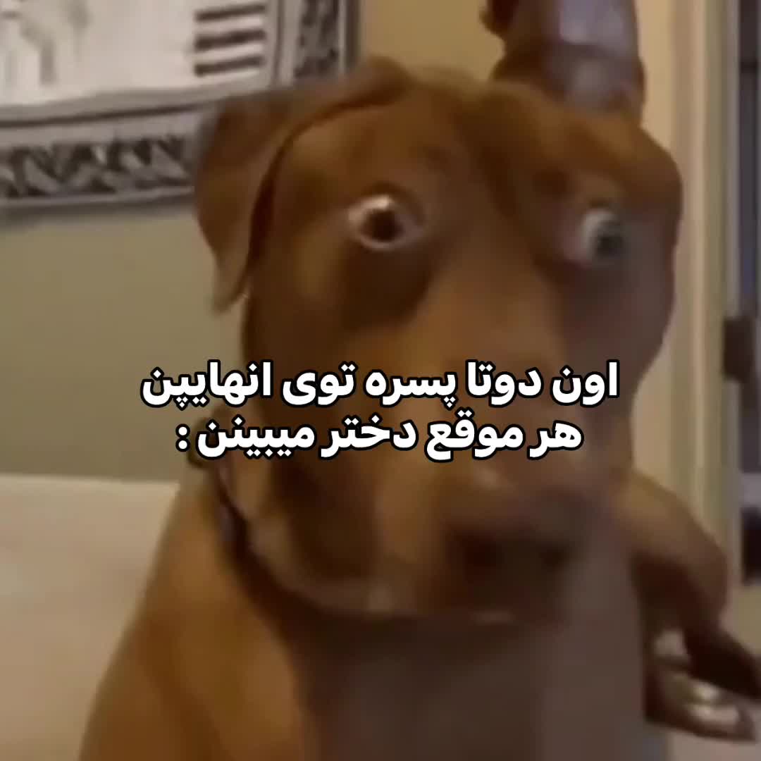 @𝖲𝗁𝖺𝖽𝗂