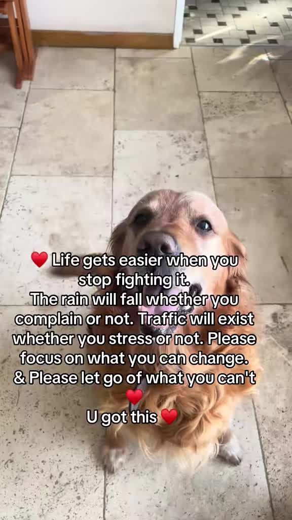 @Happy buddy