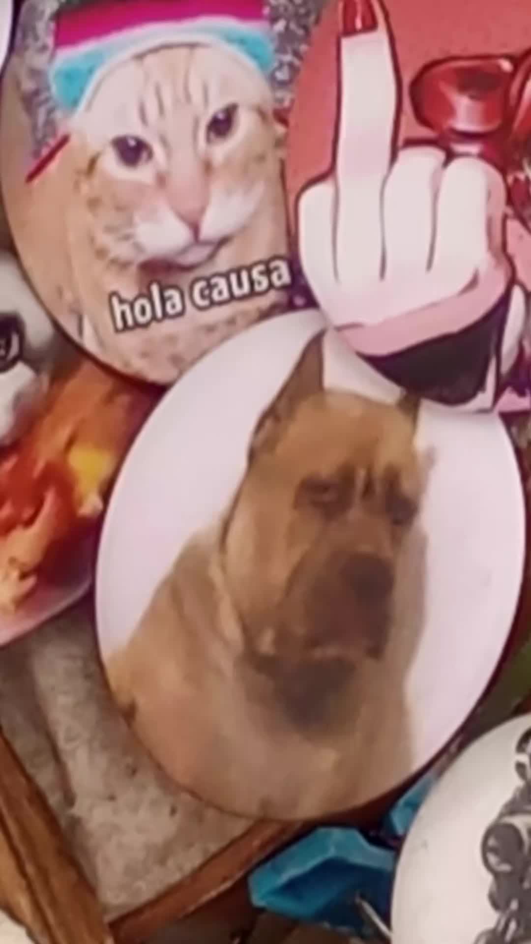 @Elyodaarana