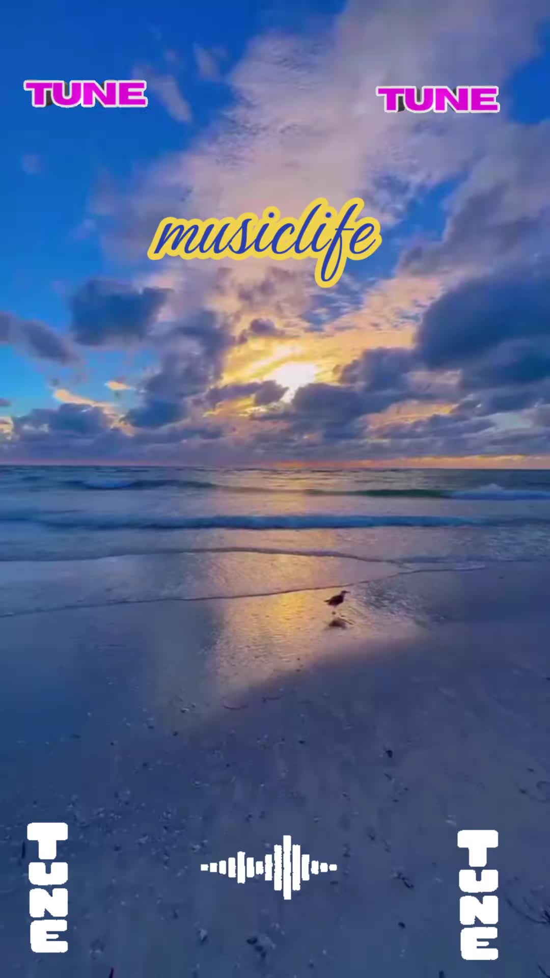 @#musiclife👍