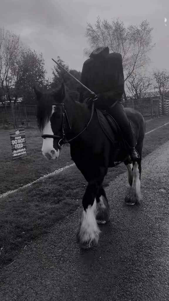 @Matlock Farm Park