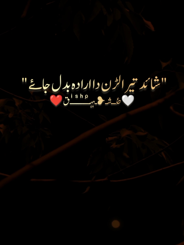 @malik pahlaaj