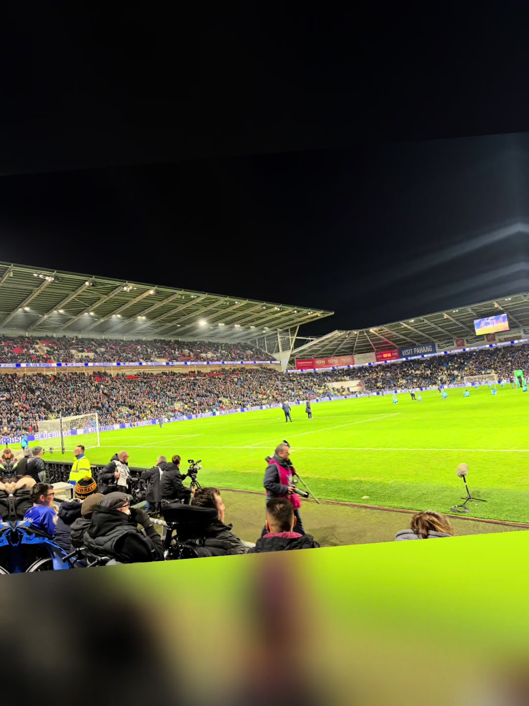 @furbz_bluebirds8610