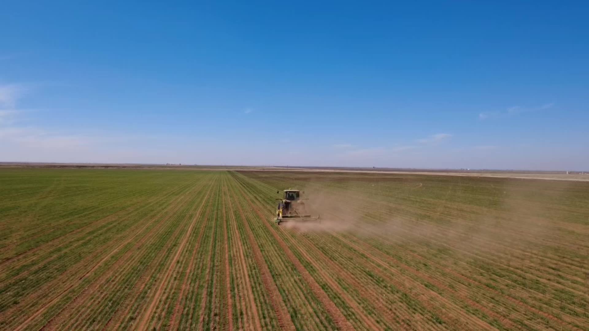 @True Farmer
