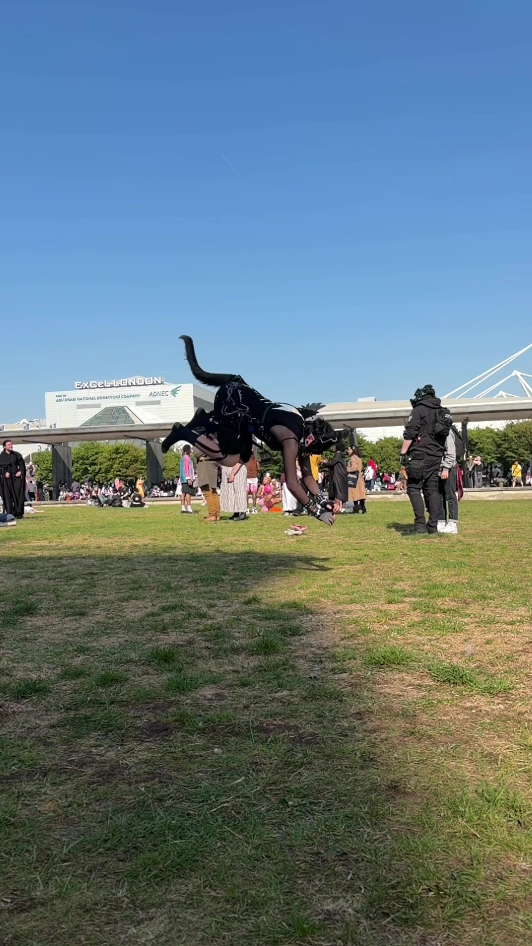 @˗ˏˋ 🐾 ᴇᴍʙᴇʀ 🐾 ˎˊ˗