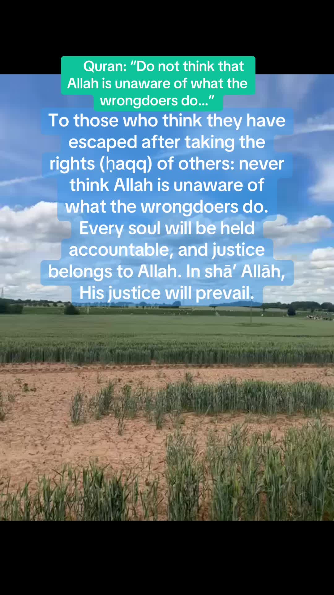 @maqrafiq