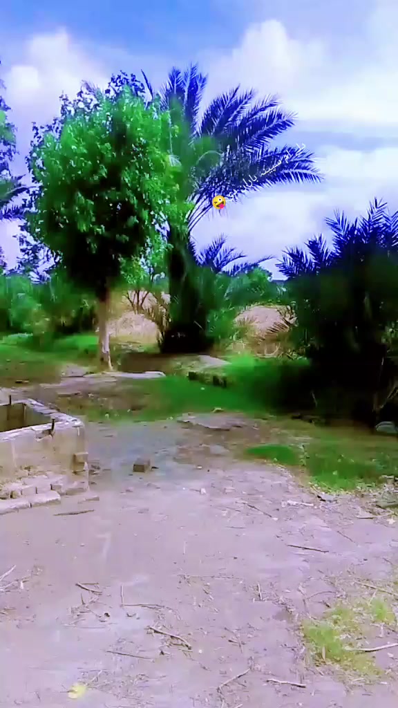 @🦂شیر جان کلاخیل 804🦂