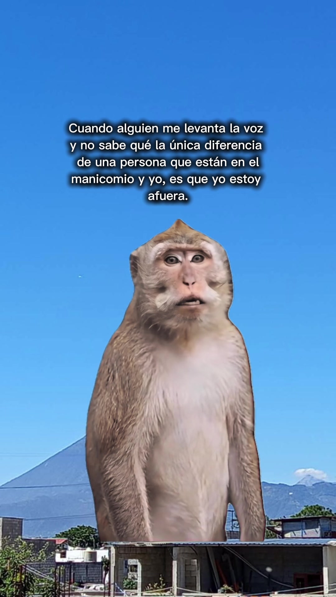 @Vane LC