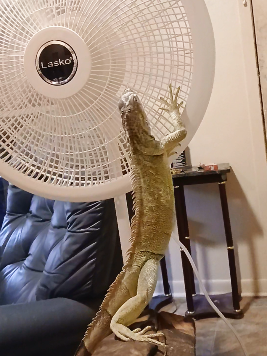 @Jimmy4 🦖