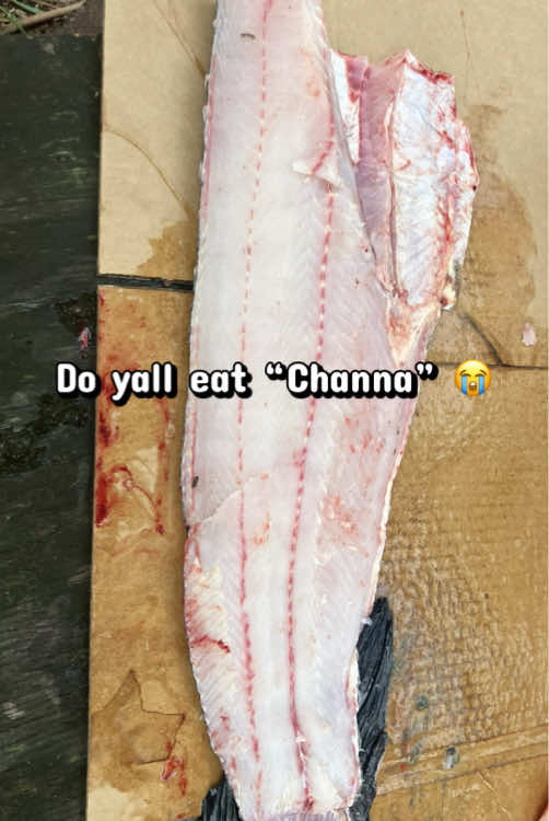 @baltimorebanditfishing