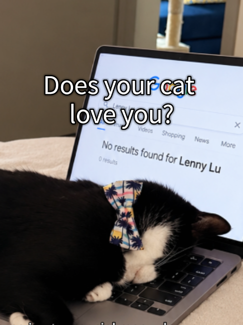 @Lenny Lu