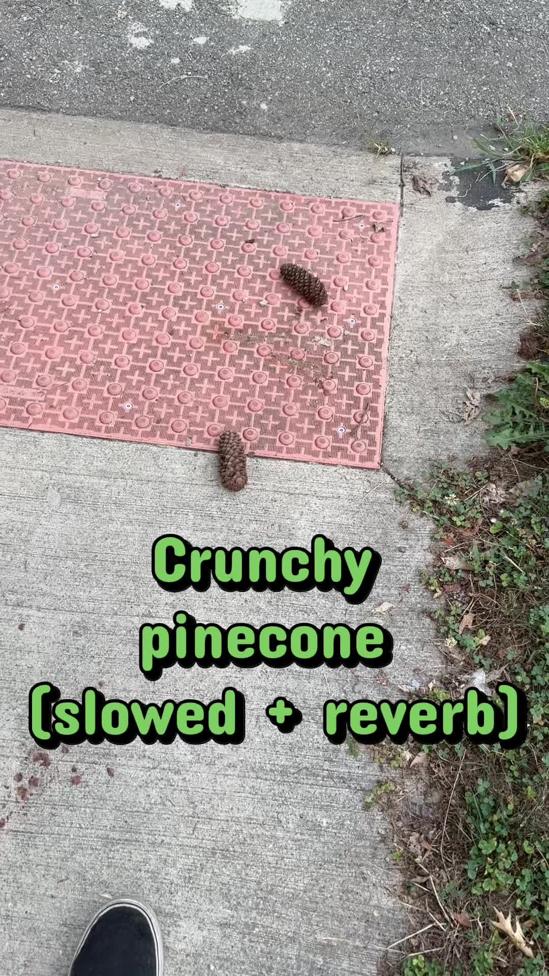 @james_ca_
