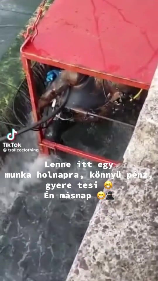 @Tivi🐺