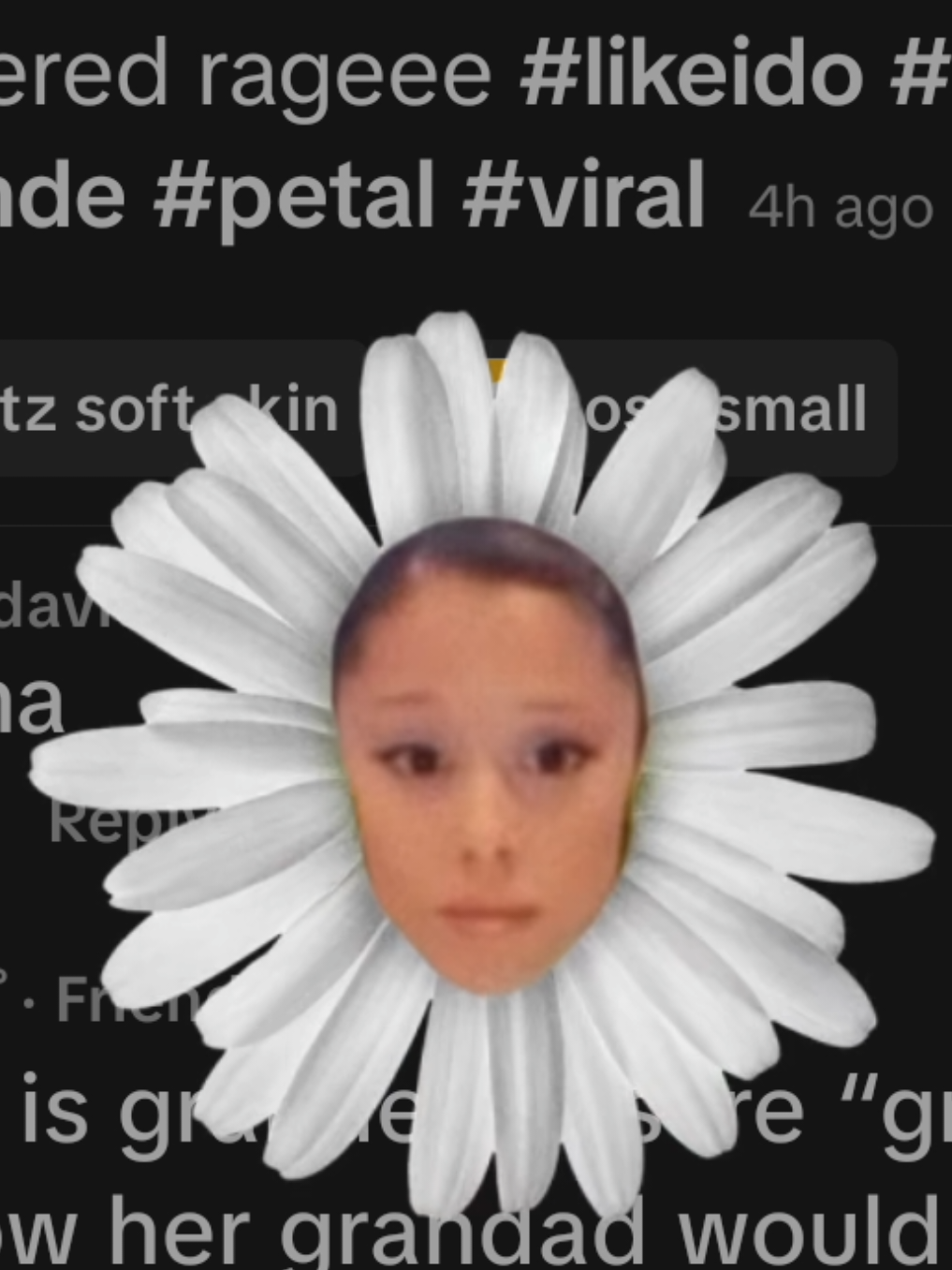 @ariana davies
