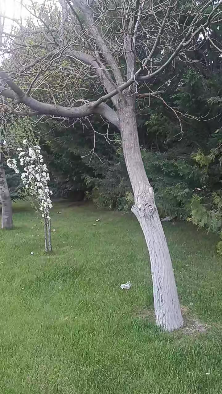 @İYİ BİRİYİM AMA.!HERGÜN DEĞİL