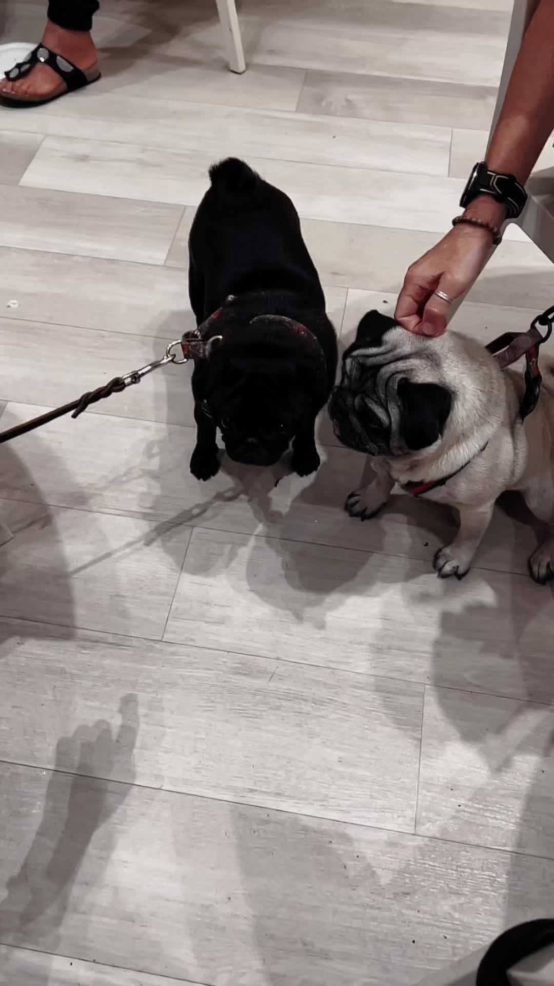 @Ciuciu&Carlotta