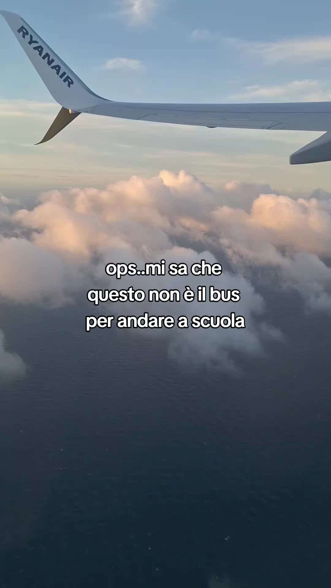 @marcolino