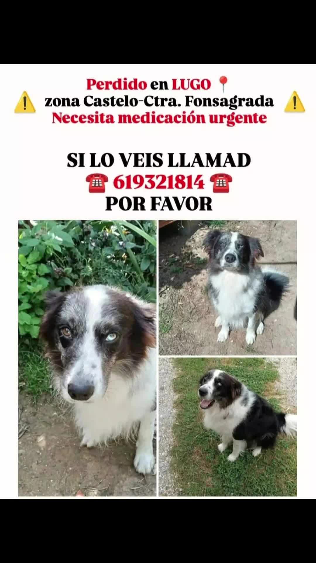 @@scherezade1982