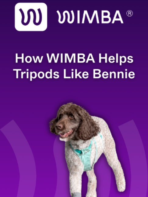@WIMBA: Pet Orthoses