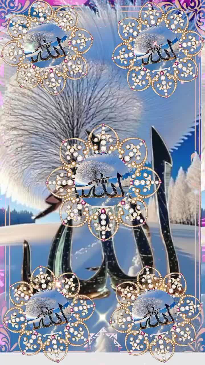 @🌹👑 AZIZKHAN MUSAKHEL👑🌹