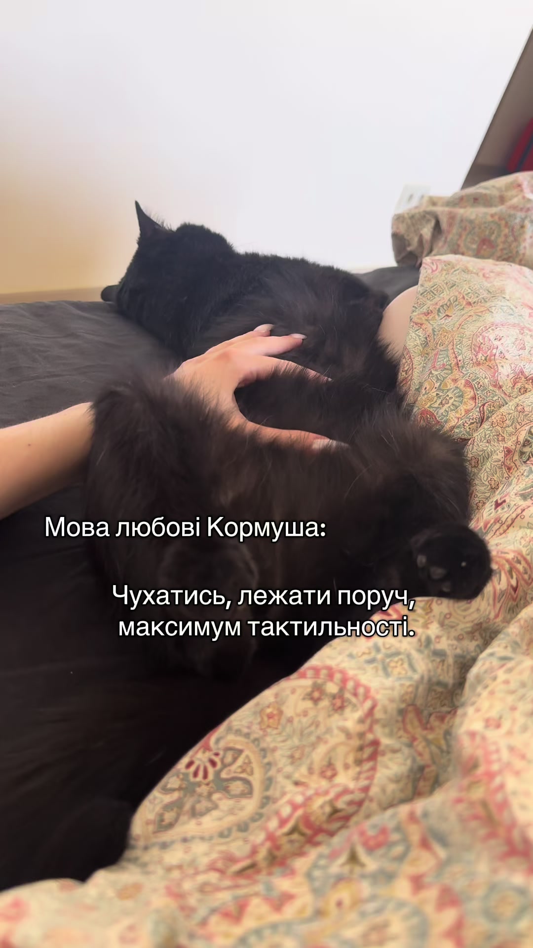 @Корнелія Удовенко
