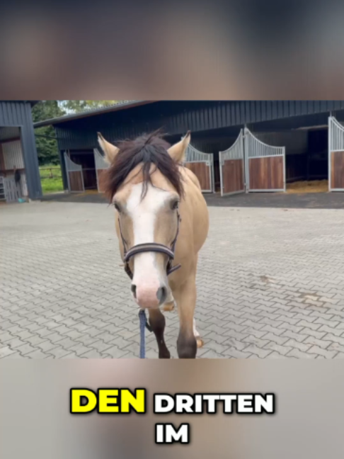 @Matthes Röckener