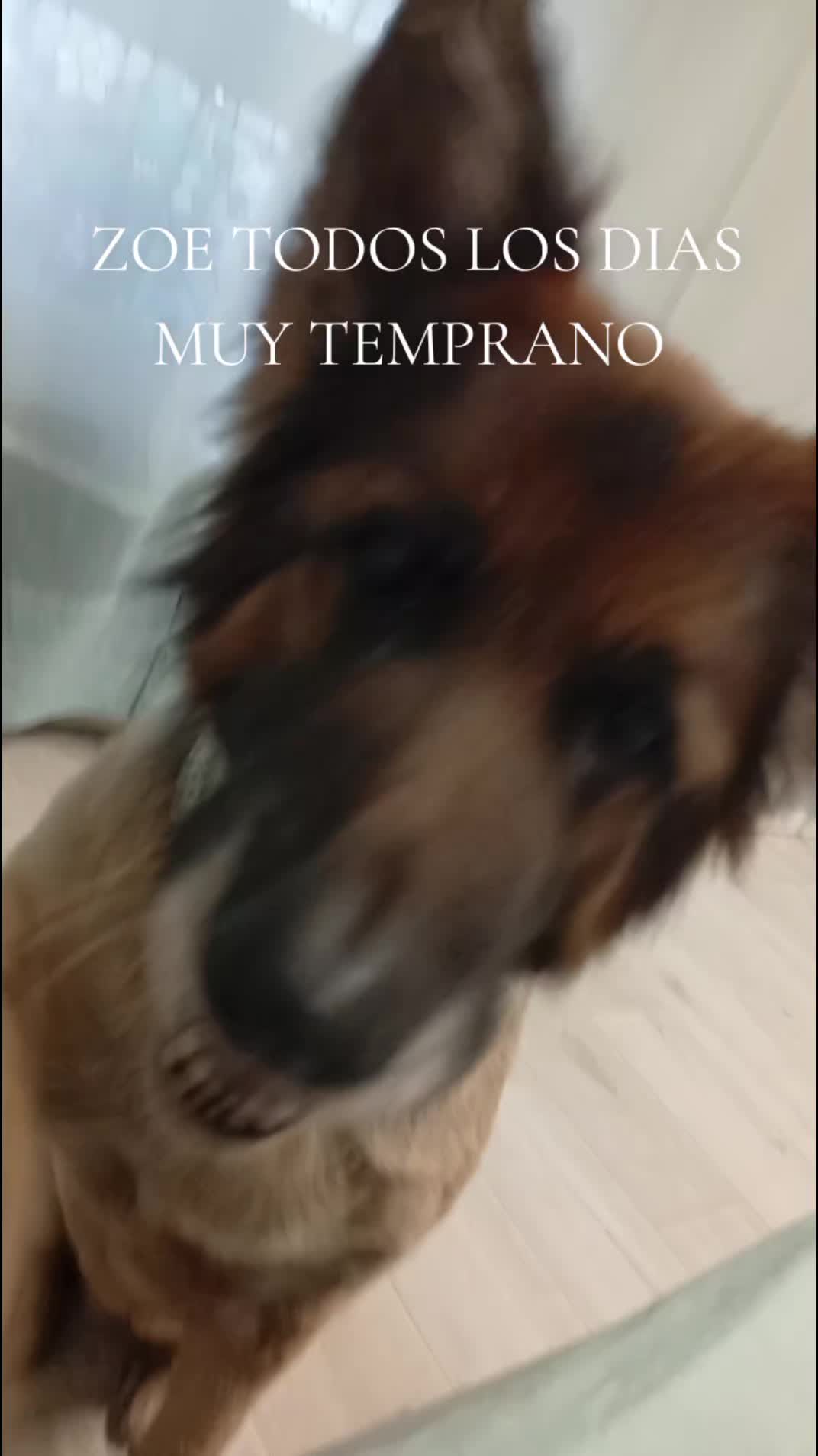 @💞 𝑬𝑫𝑰𝑻𝑯 𝑽𝑰𝑮𝑶𝑻𝑯 💞