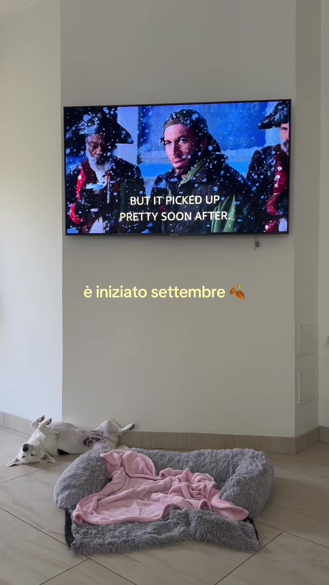 @Sally Saccarola🩸