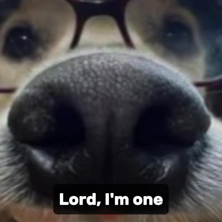 @丰◦&bull;●◉✿𝔥𝔲𝔫𝔫𝔶✿◉●&bull;◦丰