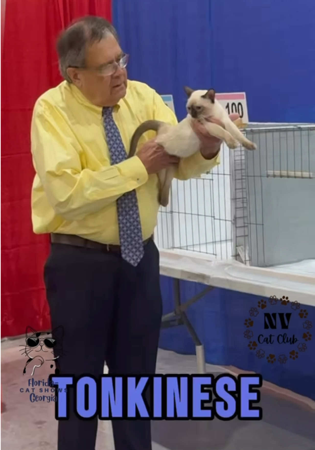 @NewVisionCatClub