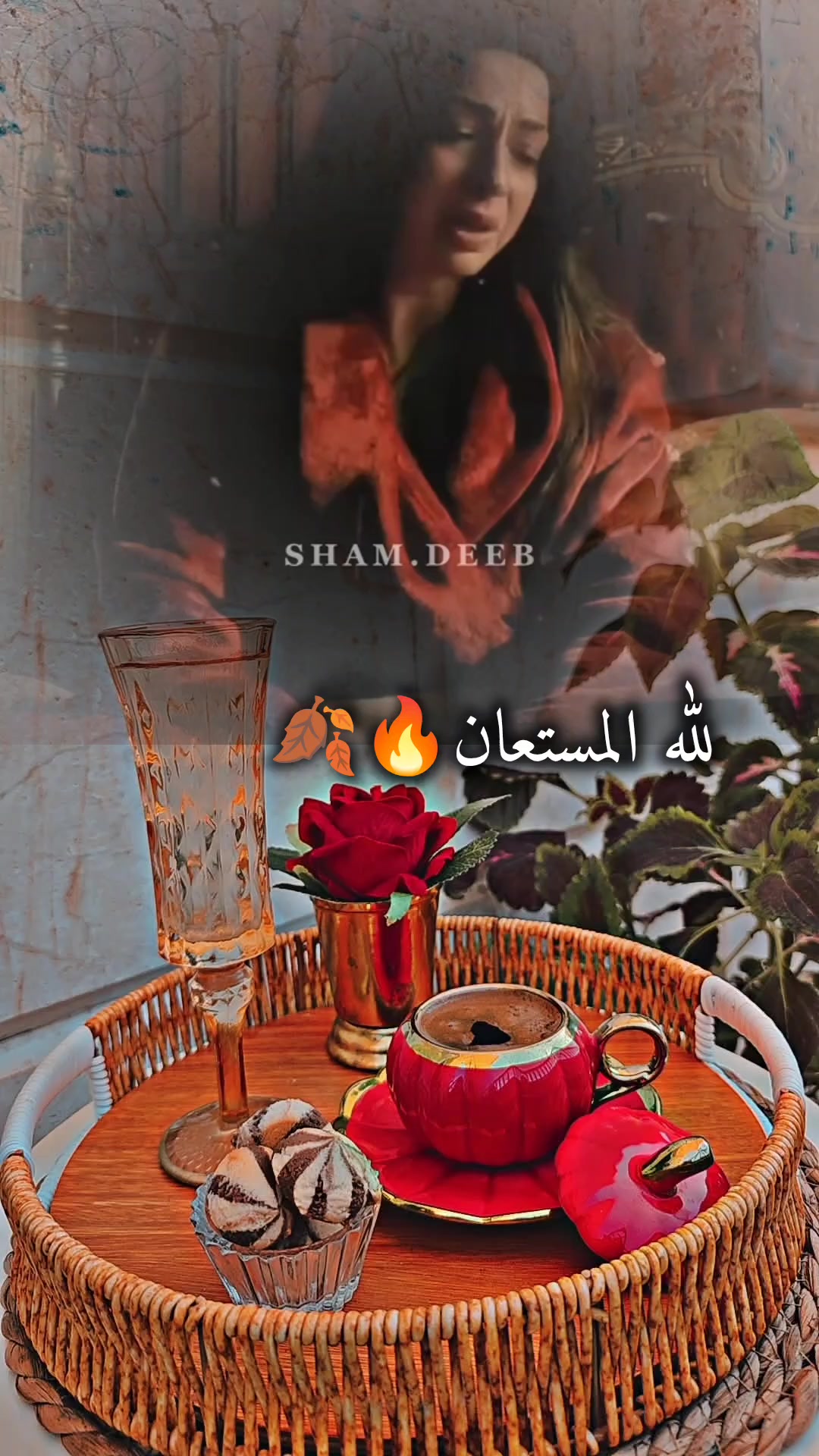 @عبير الورد🍃❤️
