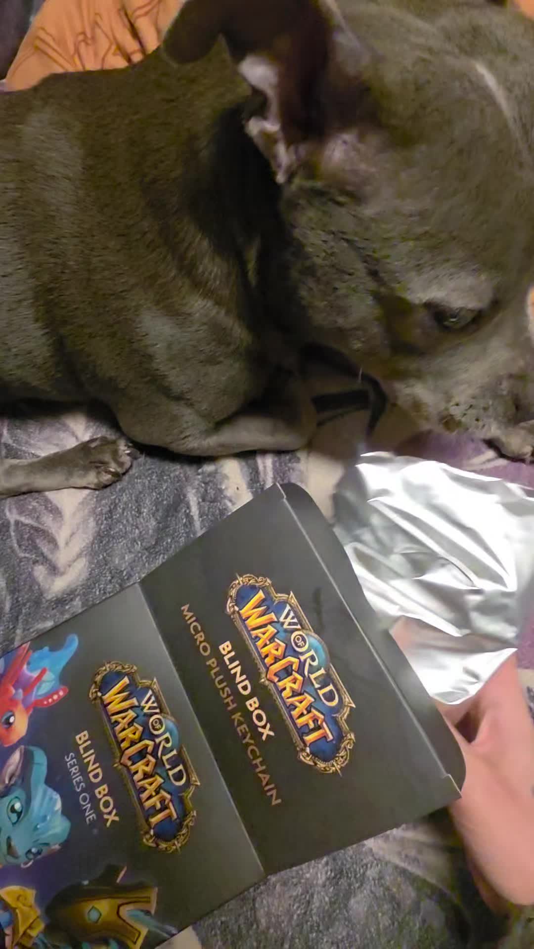 @Zara Alukanija Kiyomi 🐕🐾