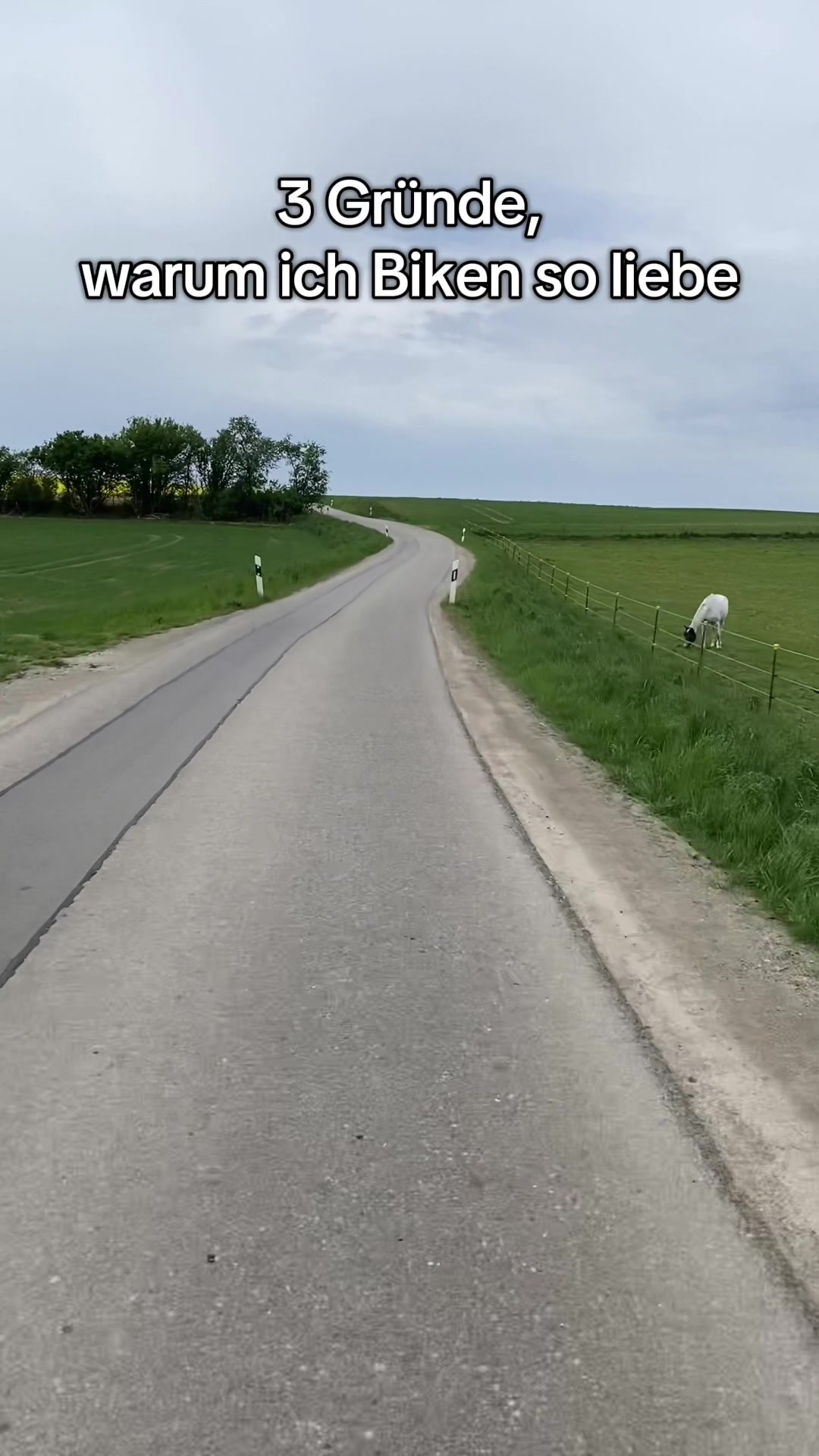 @Alter Mann mit Bike