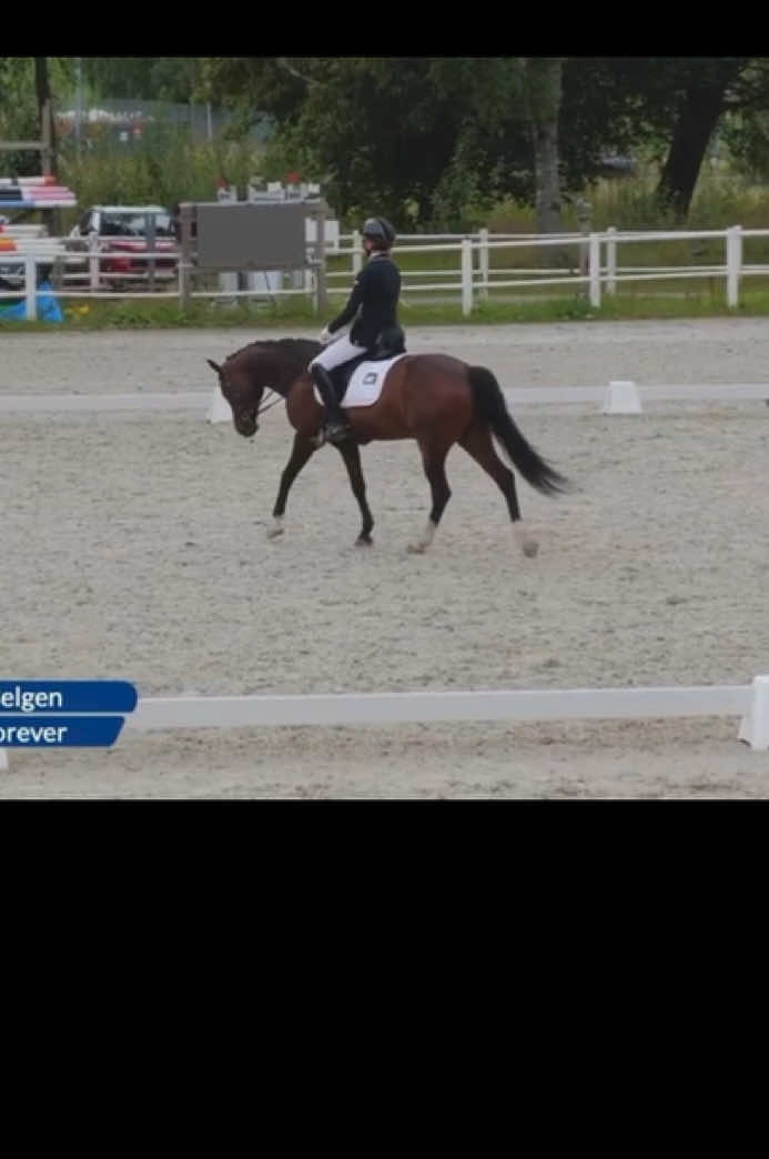 @Coreen Grønvold Belgen🇳🇴