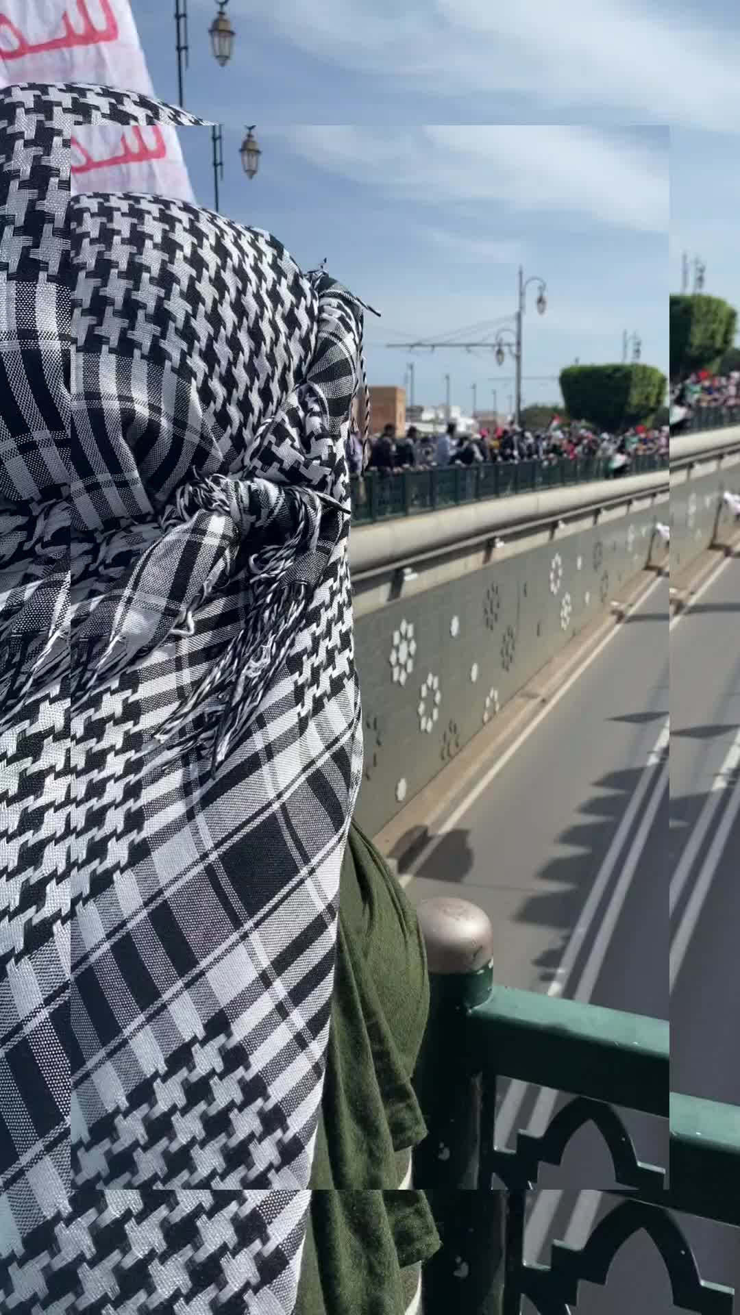 @Free Palestine 🇵🇸