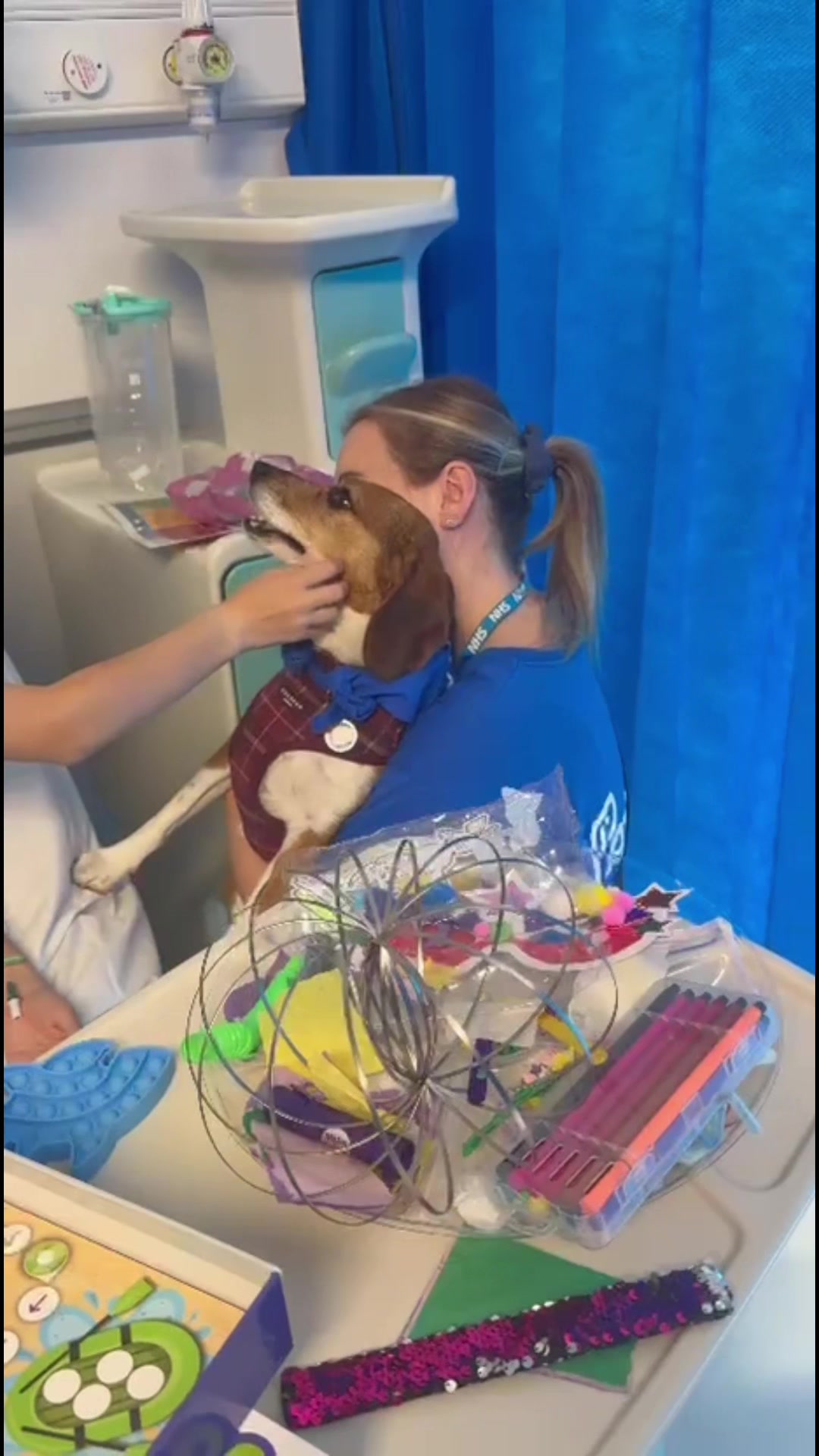 @Winnie the Therapy Dog 🐾✨