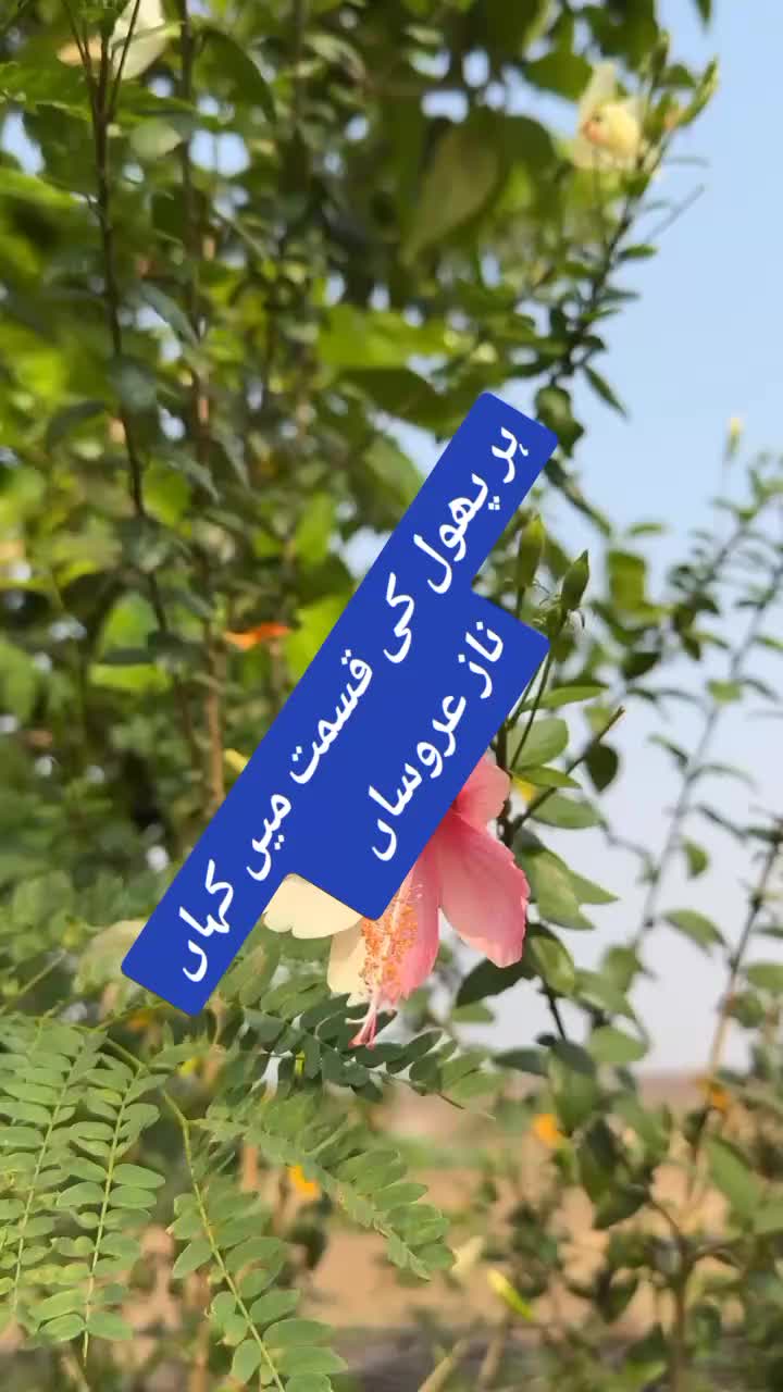 @ishq ibadat