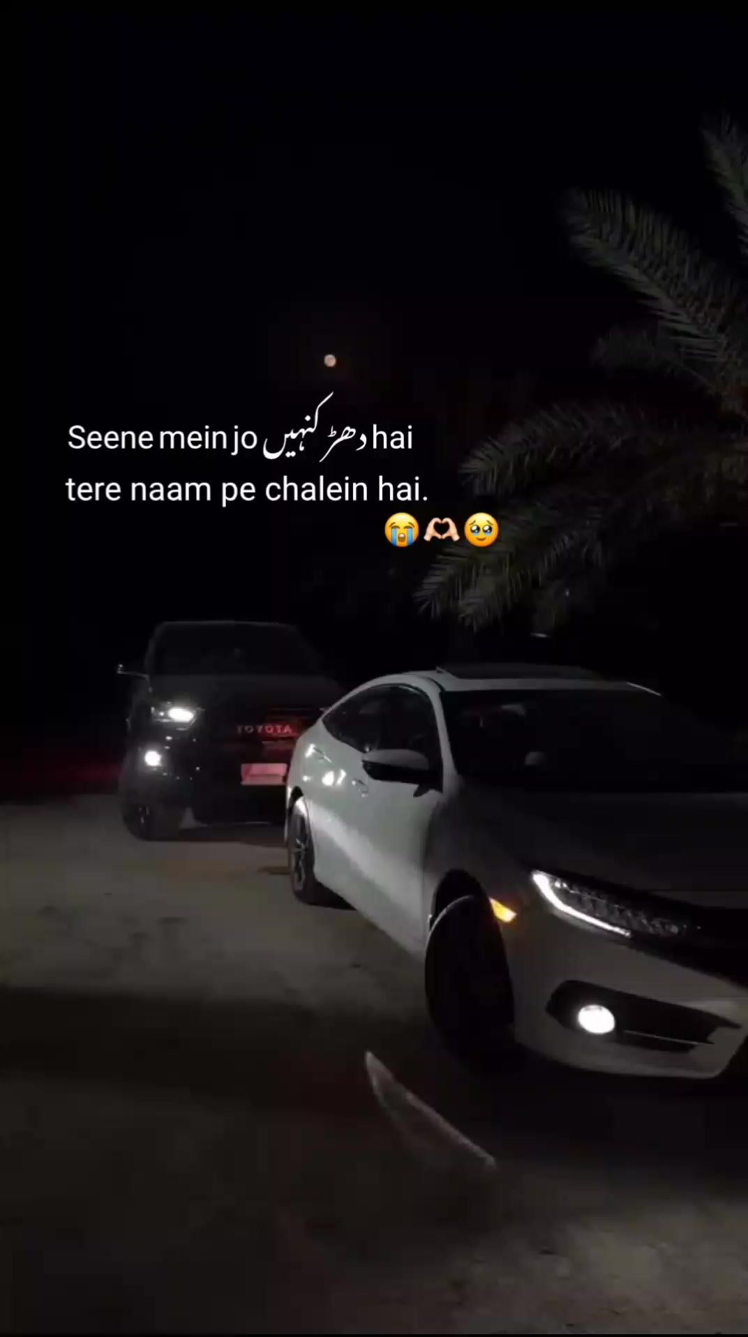 @ℬ.🐼